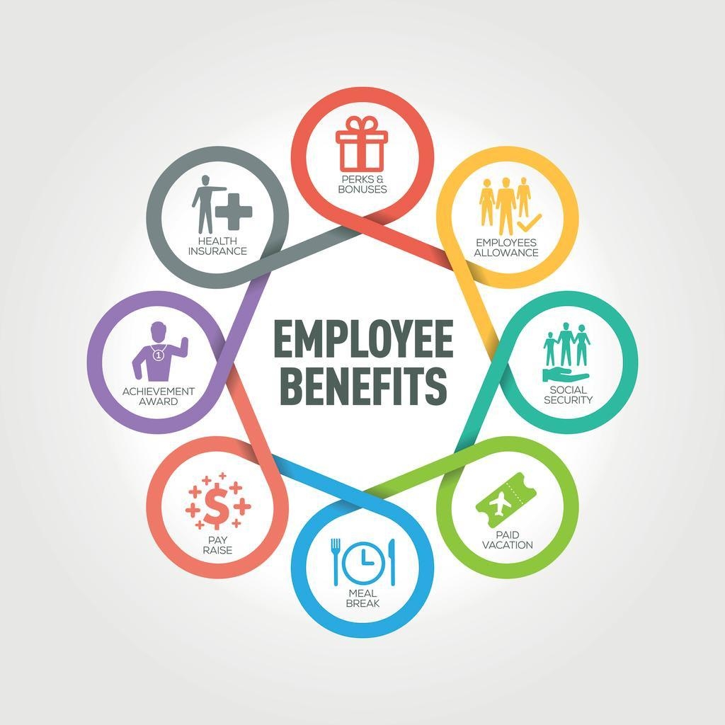 Types of Employee Benefits 12 Benefits HR Should Know HR Payroll