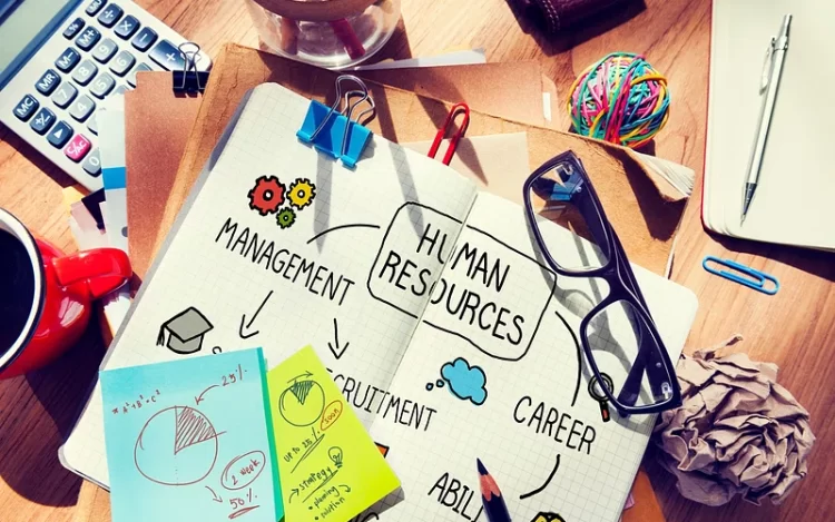 Top HR Metrics Every Executive Should Track Today