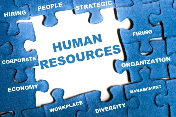 The Ultimate Guide to Becoming a Successful HR Specialist