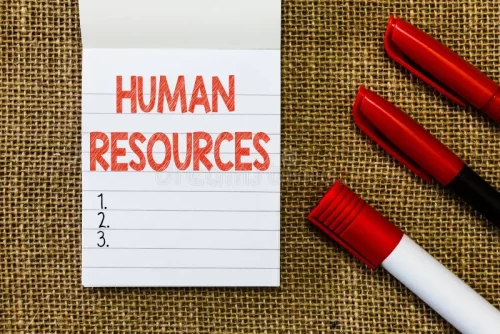 The Ultimate Guide to Becoming a Successful HR Generalist