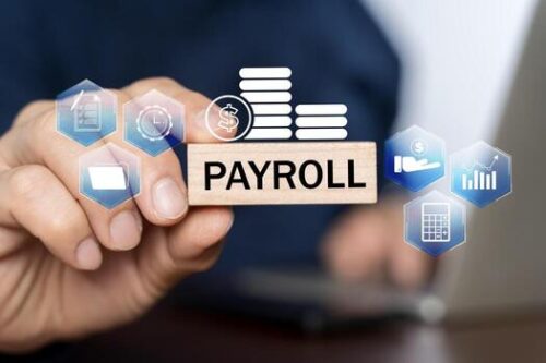 Payroll Basics Every HR Fresher Should Know